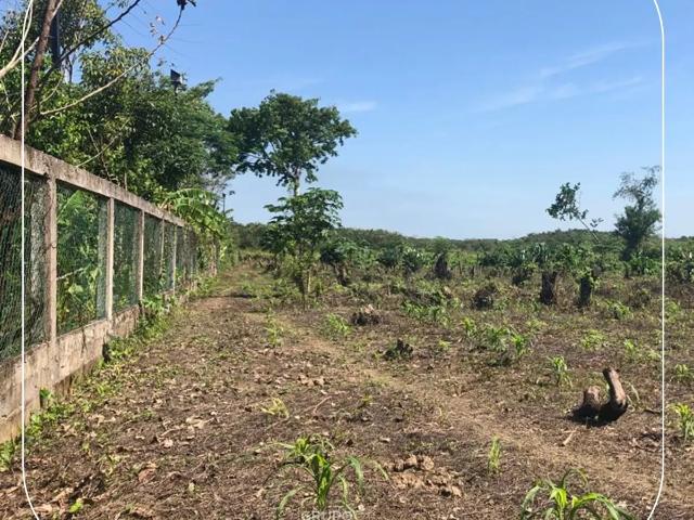 TERRENO EN VENTA CARRETERA A REFORMA GUINEO 1RA. SECC