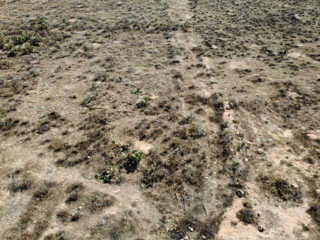 TERRENO EN VENTA CARRETERA ABASOLO