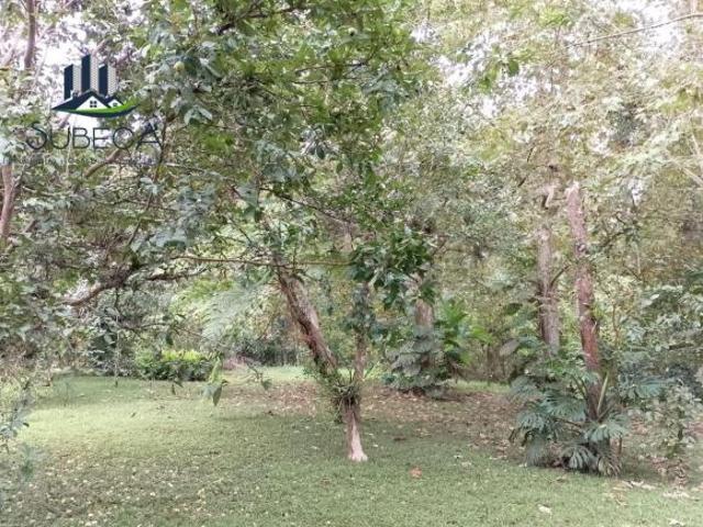 Terreno en Venta – Carretera Antigua Xalapa–Coatepec