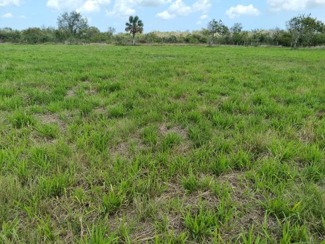Terreno en venta Carretera Federal paso del Toro Boca del R?o