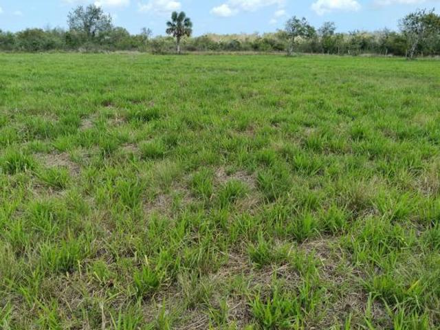 Terreno en venta Carretera Federal paso del Toro Boca del Río