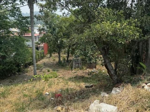 TERRENO EN VENTA CARRETERA FEDERAL POZA RICA, PAPANTLA, VERACRUZ
