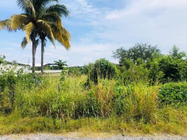 Terreno en venta Carretera Federal Veracruz Xalapa Las Bajadas