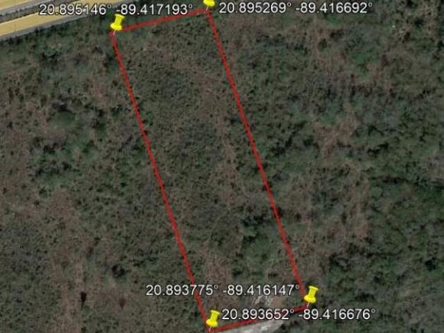 Terreno en venta carretera Mérida Cancún a pie de carretera
