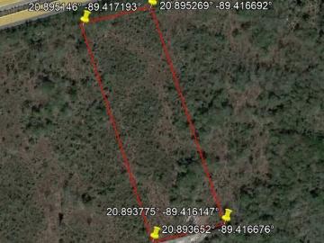 Terreno en venta carretera merida cancún