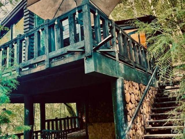 Terreno en venta Carretera Perote Xalapa Bosque ciclo verde
