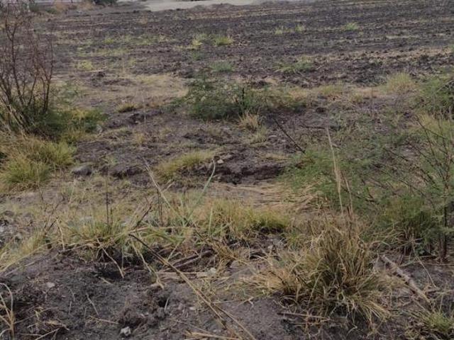 Terreno en Venta apto bodega Cd. Industrial León, Gto