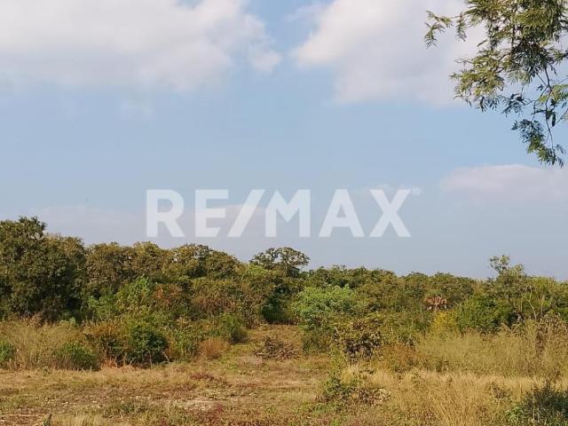 TERRENO EN VENTA Cd. Valles, S.L.P
