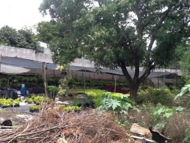 Terreno en venta, Centro, Jiutepec, Morelos