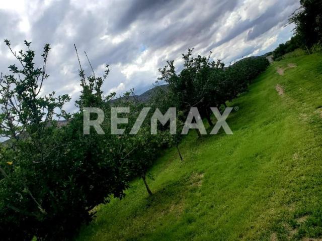 Terreno en venta cerca a Canatlán en producción