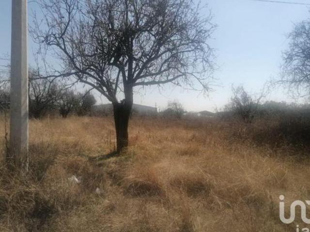 TERRENO EN VENTA CERCA AEROPUERTO HUEJOTZINGO