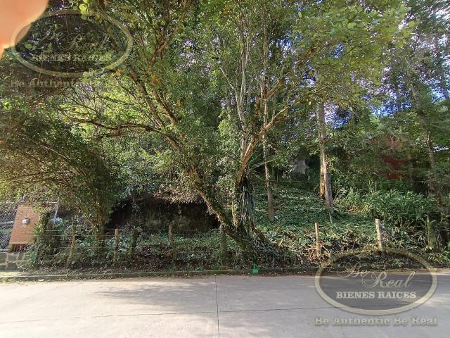 Terreno en Venta cerca de Av. Rebsamen
