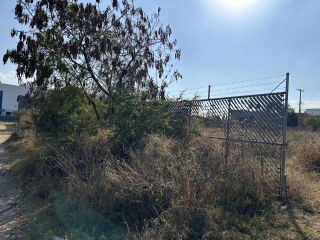 Terreno Industrial en Venta a Espaldas de Amazon GDL1 | 1,919 m? Tlajomulco