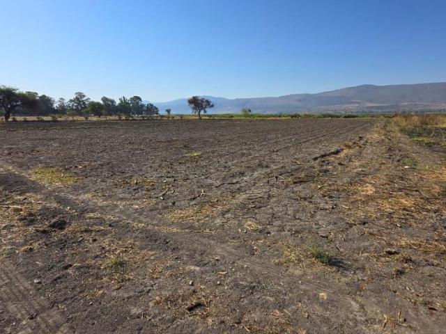 TERRENO EN VENTA CERCA DE LA LAGUNA DE CAJITITLAN
