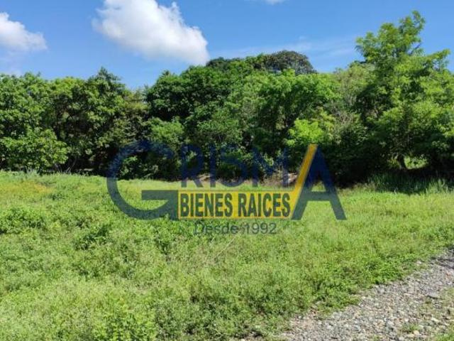 TERRENO EN VENTA CERCA DE ZONA COMERCIAL