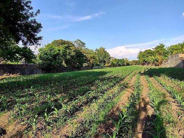 TERRENO EN VENTA CERCA DEL CENTRO DE YAUTEPEC, MORELOS