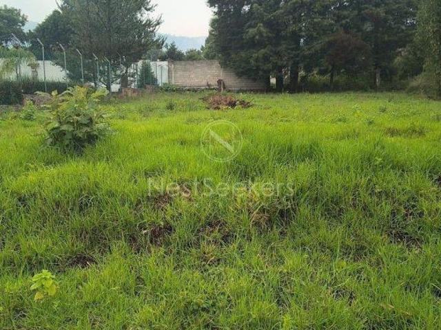 Terreno en venta cerca del Rancho Las Margaritas
