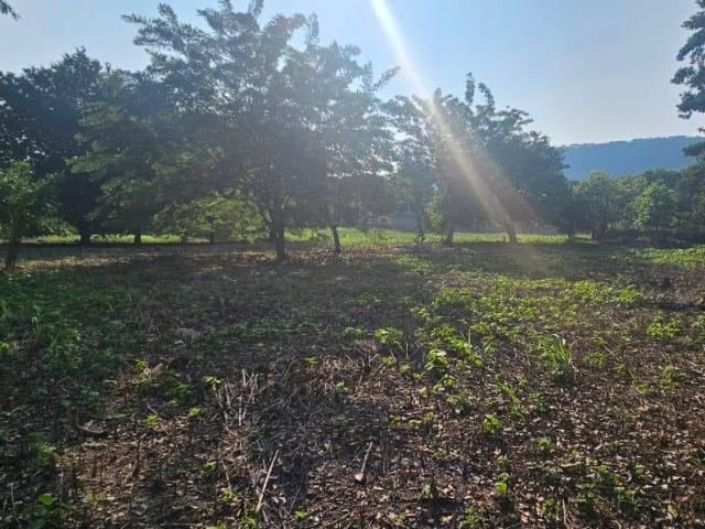 TERRENO EN VENTA CERRO HUECO