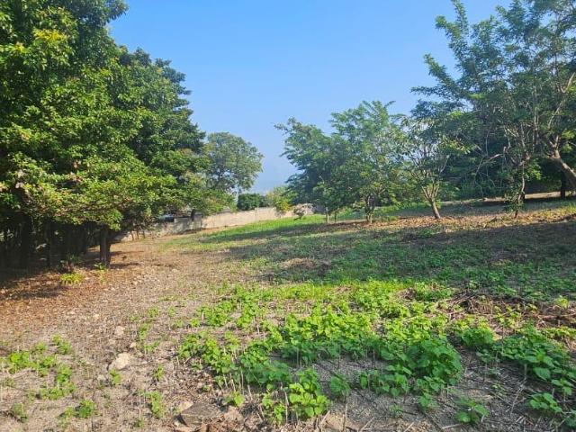 TERRENO EN VENTA CERRO HUECO
