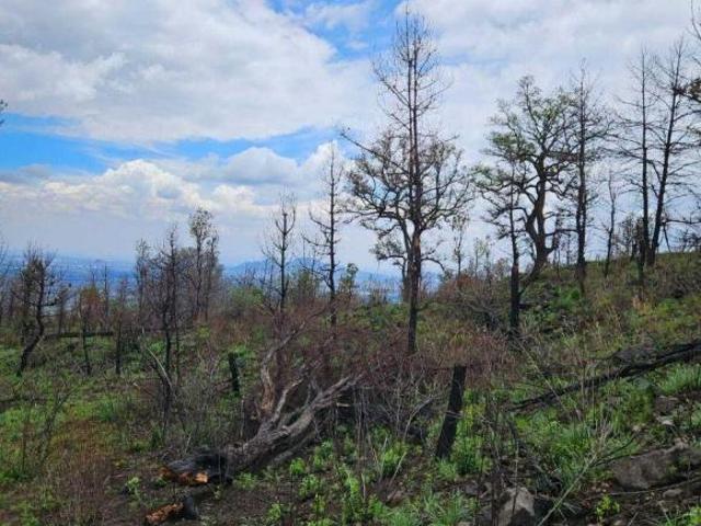 Terreno en venta Chalco Estado de México