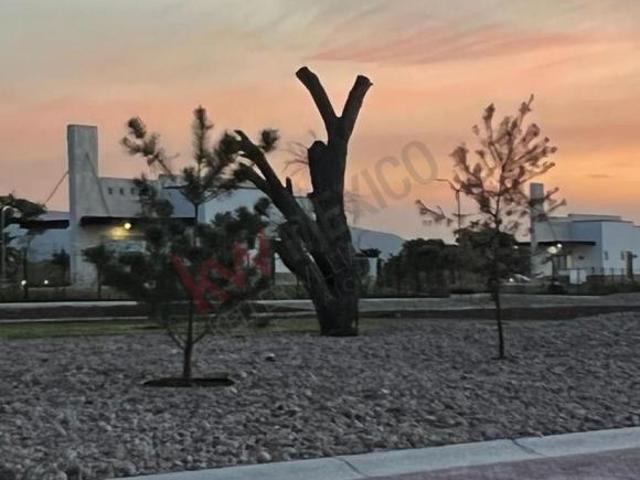 TERRENO EN VENTA CIUDAD MADERAS SUR, EXCELENTE UBICACION