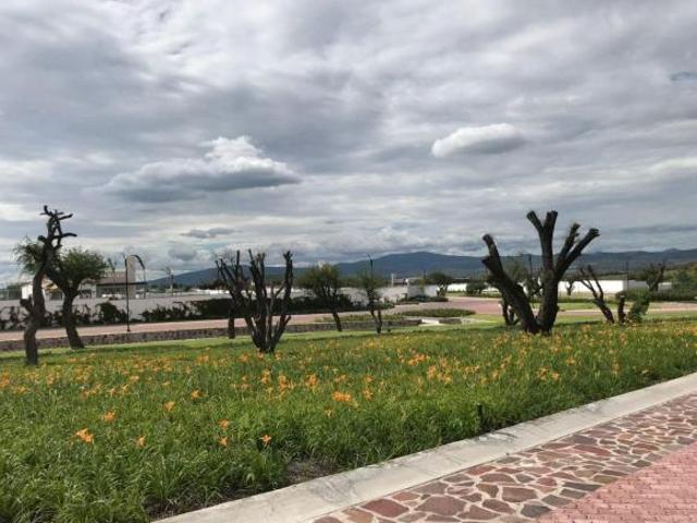 TERRENO EN VENTA CIUDAD MADERAS SUR I