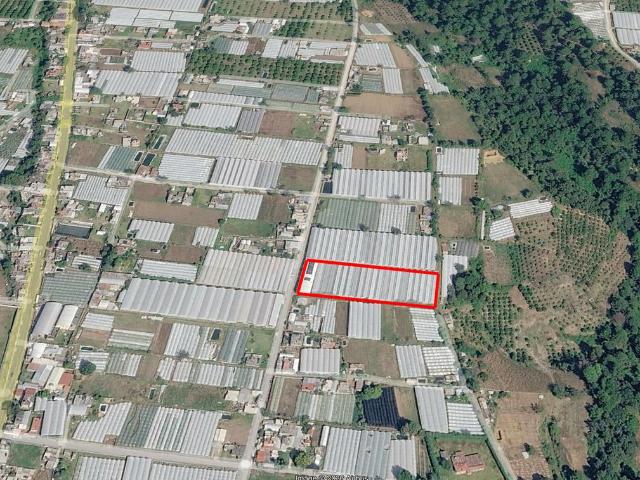 Terreno en venta, Coatepec Harinas, Estado de M?xico
