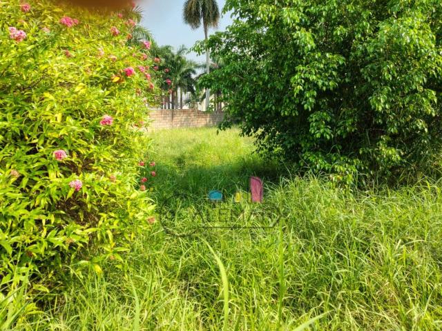 Terreno en venta col Aguila