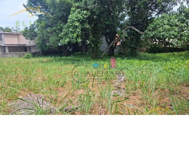 Terreno en venta col Aguila