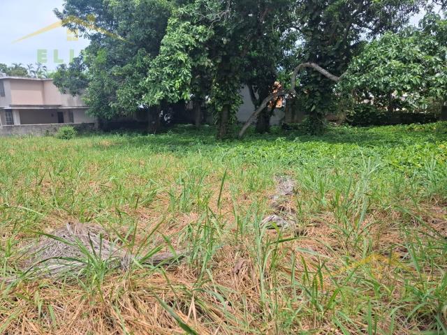 TERRENO EN VENTA COL. AGUILA TAMPICO