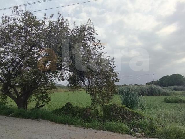 TERRENO EN VENTA | COL. LA PEDRERA, ALTAMIRA, TAMAULIPAS, | YQ87