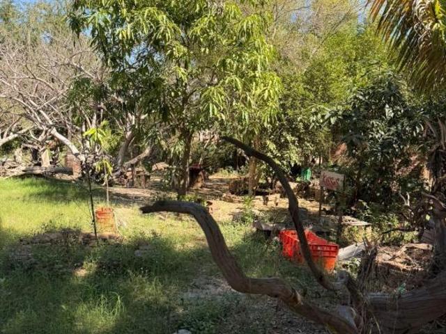 Terreno campestre oportunidad 1498 m2 a 350 m. Sanchez Alonso Culiacán