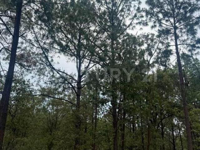 Terreno en venta, Col. Mazamitla, Mazamitla, Jal