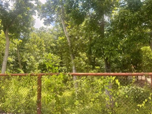 TERRENO EN VENTA COL REVOLUCION VERDE, POZA RICA