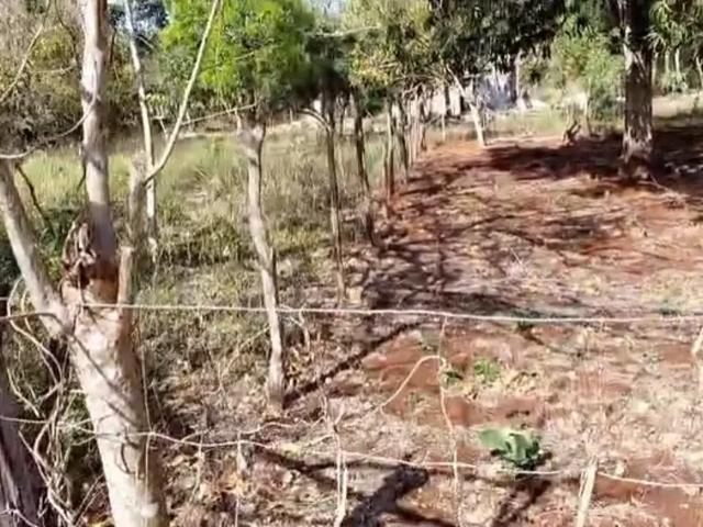TERRENO EN VENTA – COL. SANTA ROSA DE LIMA, Tizimín