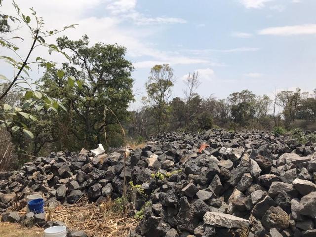 Terreno en Venta, Colonia Florida