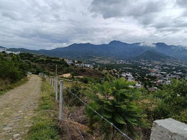 TERRENO EN VENTA COLONIA LOMA LINDA