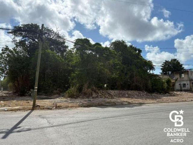 Terreno en Venta, Colonia La Guadalupana, Quintana Roo
