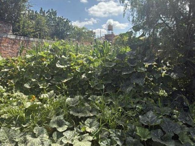 Terreno en Venta – Comunidad El Divisador, Salamanca