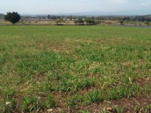 Terreno en Venta con todos los servicios por la zona! Carretera a Chapala