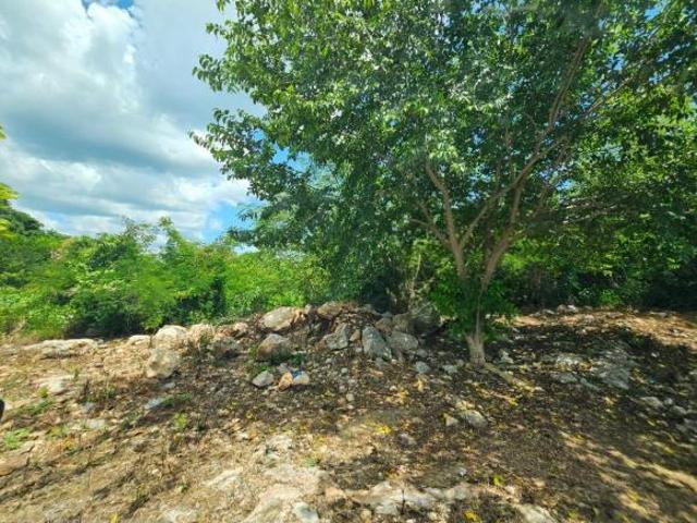 Terreno en venta con ubicación inigualable en Izamal pueblo mágico