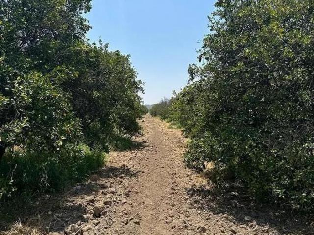 Terreno en Venta con uso de suelo Comercial / Habitacional en Linares. N.L