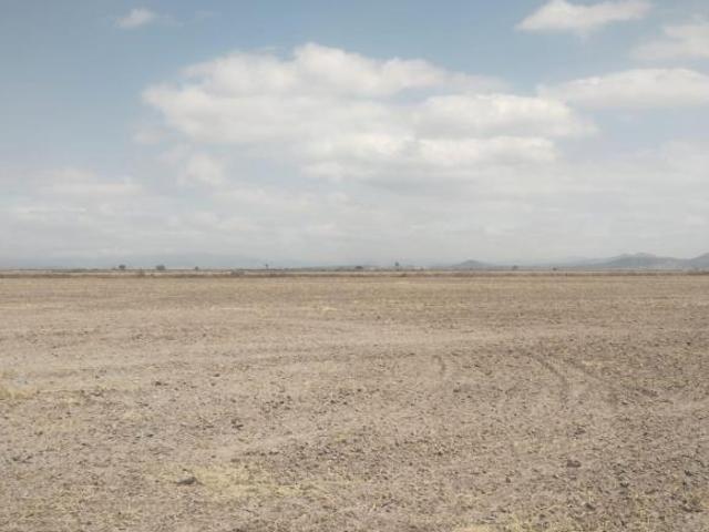TERRENO EN VENTA CON USO DE SUELO INDUSTRIAL EN VILLA DE TEZONTEPEC,HGO