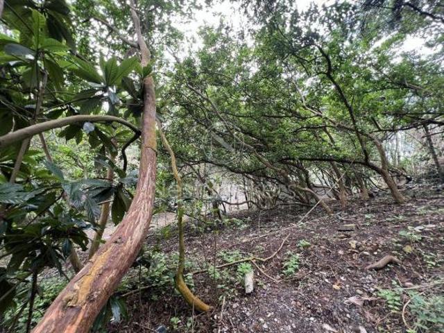 Terreno en Venta con vista al lago