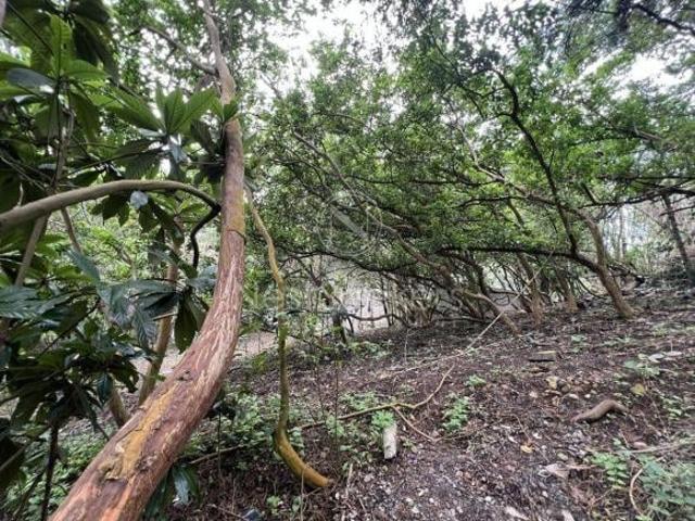 Terreno en Venta con vista al lago