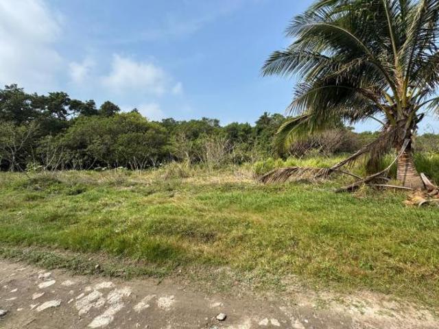 Terreno en Venta con acceso a la laguna de Mandinga Veracruz