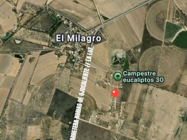 TERRENO EN VENTA / CON BARDAS PERIMETRALES / EUCALIPTOS EL LLANO / AGUASCALIENTES