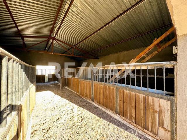 TERRENO EN VENTA CON CABALLERIZAS – LOS TRIGALES, CHIHUAHUA