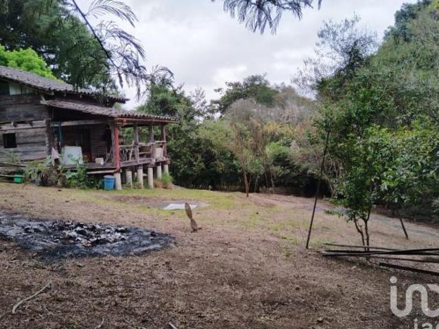Terreno en Venta con cabaña, Rancho Viejo, Tlalnelhuayocan, Veracruz