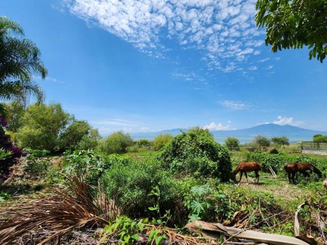Terreno en venta con casa en Ajijic frente al Lago de Chapala
